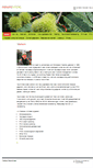 Mobile Screenshot of neurovisie.com